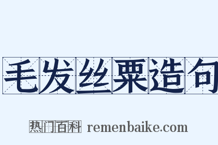 毛发丝粟造句是什么意思的图片